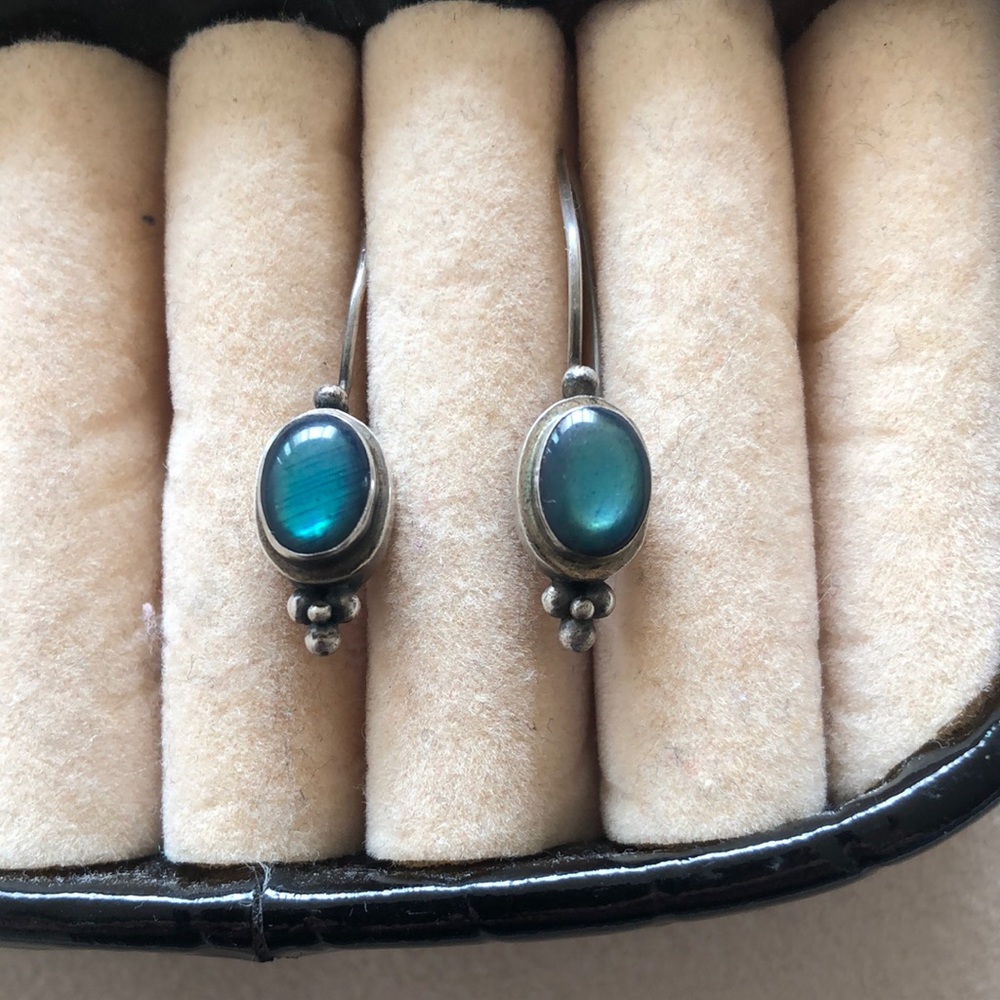 Pretty silver earrings.